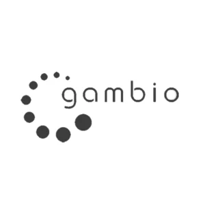gambio schnittstelle